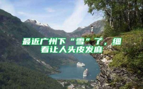 最近廣州下“雪”了，細看讓人頭皮發(fā)麻