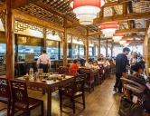 四害消殺：餐飲、酒店行業(yè)