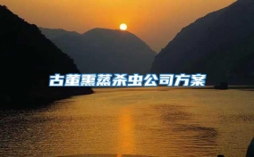 古董熏蒸殺蟲(chóng)公司方案