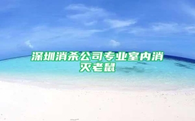 深圳消殺公司專(zhuān)業(yè)室內消滅老鼠